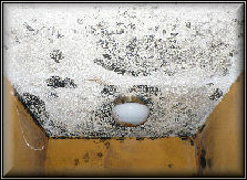 Mold Removal Boca Raton Mold removal Parkaland