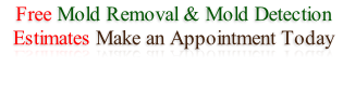 Free Mold Removal & Mold Detection Estimates Make an Appointment Today
