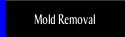 Mold Removal.